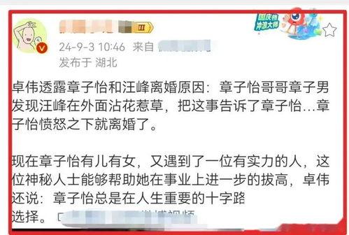 卓伟爆料章子怡最新消息,卓伟独家爆料揭秘 第3张 卓伟爆料章子怡最新消息,卓伟独家爆料揭秘 第3张
